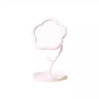 计轩 花朵化妆镜 少女心桌面台式
