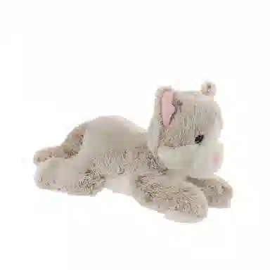 APRICOT LAMB 25cm