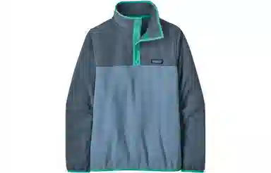patagonia W'S MICRO D SNAP-T PULLOVER Logo