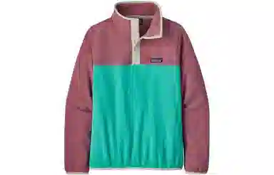patagonia W'S MICRO D SNAP-T PULLOVER Logo