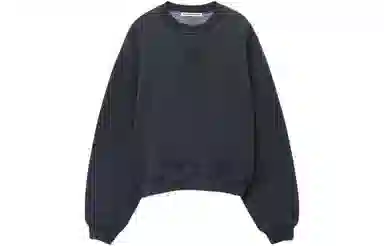 Alexander Wang SS24 Puff Logo Sweatshirt