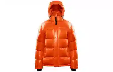 ARITZIA Super Puff Hi-Gloss Original 5