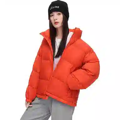 鸭鸭 通勤立领拉链纯色长袖羽绒服 女款