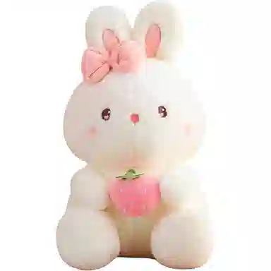 25cm40cm55cm50cm70cm