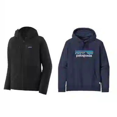 patagonia logo