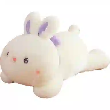 25cm40cm55cm50cm70cm