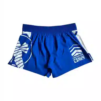 Hayabusa Shorts