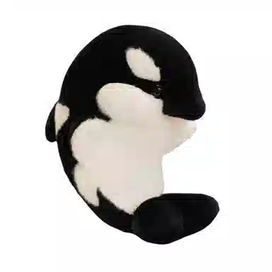 35cm50cm
