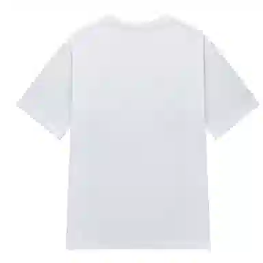 LSVE NASA T