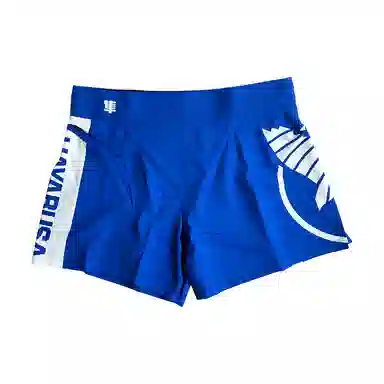Hayabusa Shorts