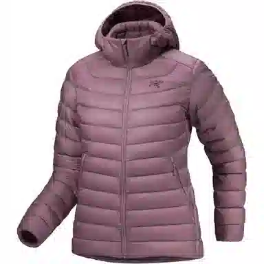 Arcteryx Cerium Hoody Logo