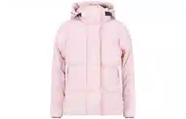 Canada Goose Junction