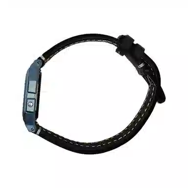 CASIO DIGITAL F-91WS-2