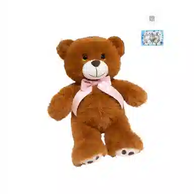 25cm35cm
