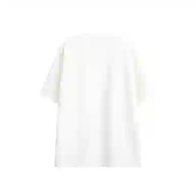 Roubini T