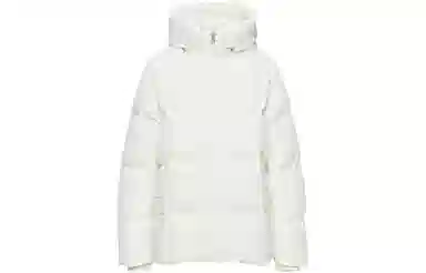 ARITZIA Babaton Crown Puffer