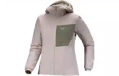 Arcteryx Proton Hoddy