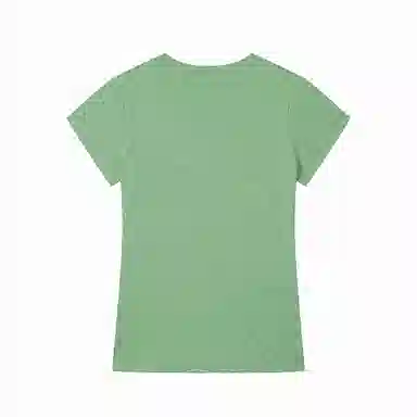 COUNTRY MOMENT 260G T