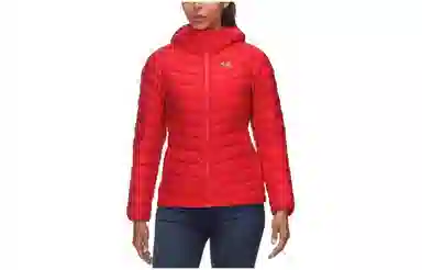 Arcteryx Cerium LT Hoody