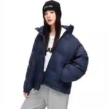 鸭鸭 通勤立领拉链纯色长袖羽绒服 女款