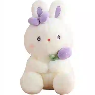 25cm40cm55cm50cm70cm