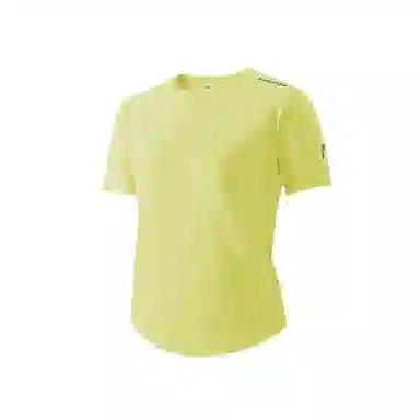 HEAD T