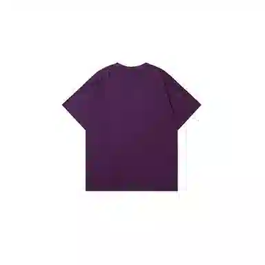 LSVE NASA T