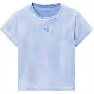 alexander wang FW24 T