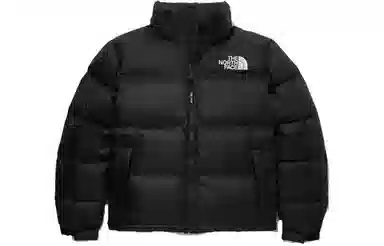 The North Face 1996 Eco Nuptse Black