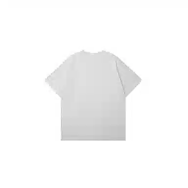 LSVE NASA T