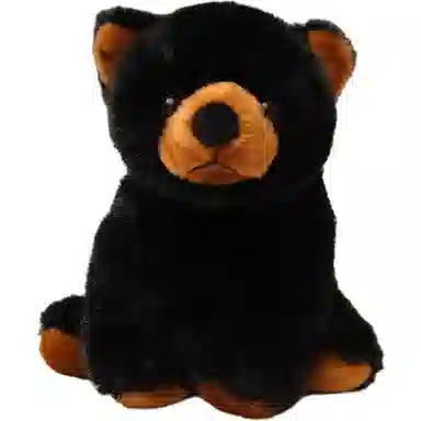 MORTEN SOLUM 20cm30cm