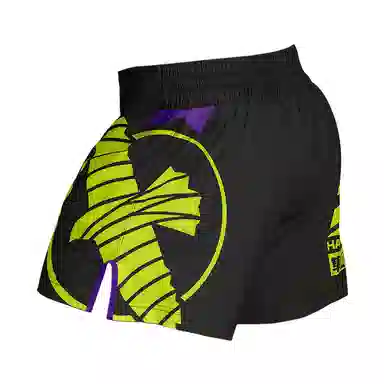 Hayabusa Shorts