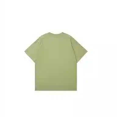 LSVE NASA T