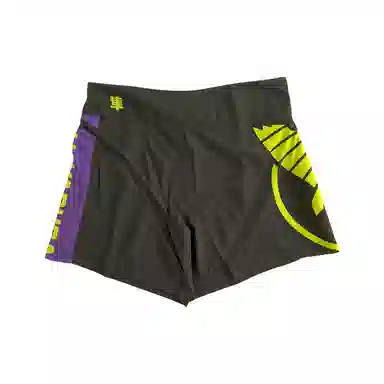 Hayabusa Shorts