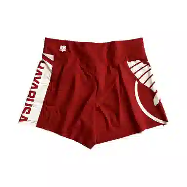 Hayabusa Shorts