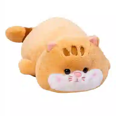 55cm