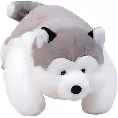 55cm