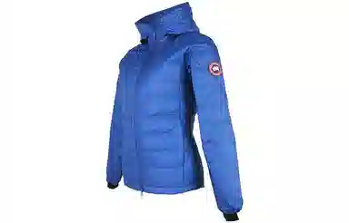 Canada Goose