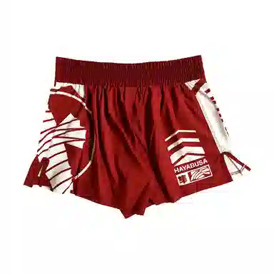Hayabusa Shorts