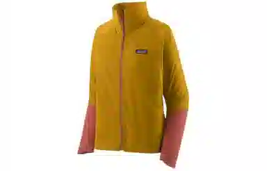 patagonia Logo