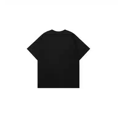 LSVE NASA T