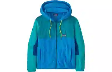 patagonia Logo