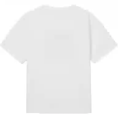 levis T