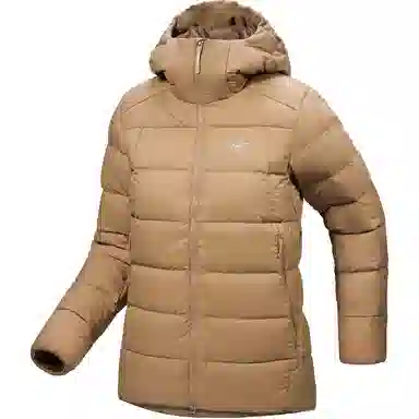 Arcteryx Thorium Hoody