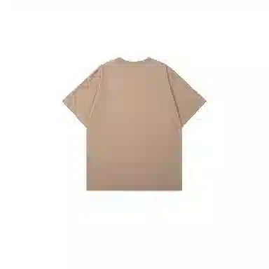 LSVE NASA T