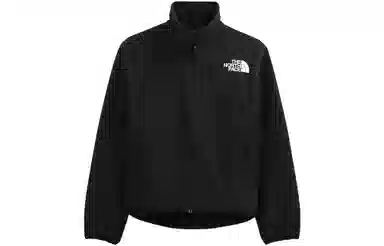 THE NORTH FACE RMST Denali Logo