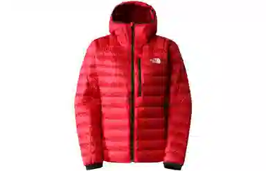 THE NORTH FACE Logo