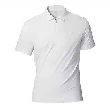 PIERRE CARDIN Polo