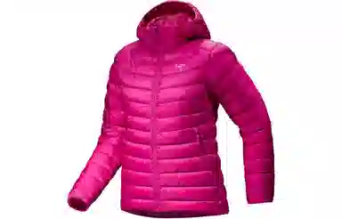 Arcteryx Cerium Hoody Logo