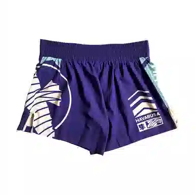 Hayabusa Shorts